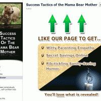 ABCs: Easily Set Up Your Parenting Facebook Fan Page Vanity URL