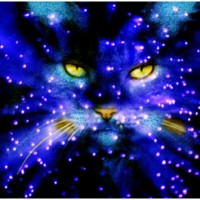 Free Goodies of the Warriors Cats Series by Erin Hunter