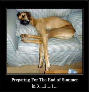 endofsummer