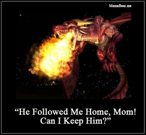 followedhome