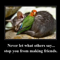 Never let what others say….