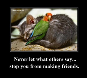 friendship