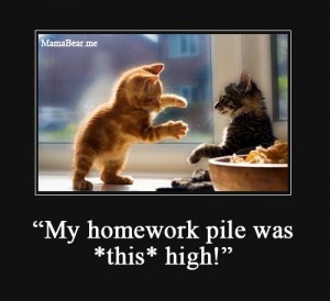 homeworkpile