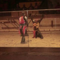 medievaltimes