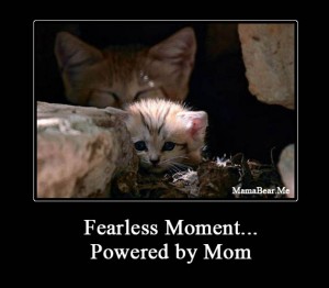 momwatching