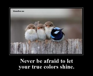 truecolorsshine